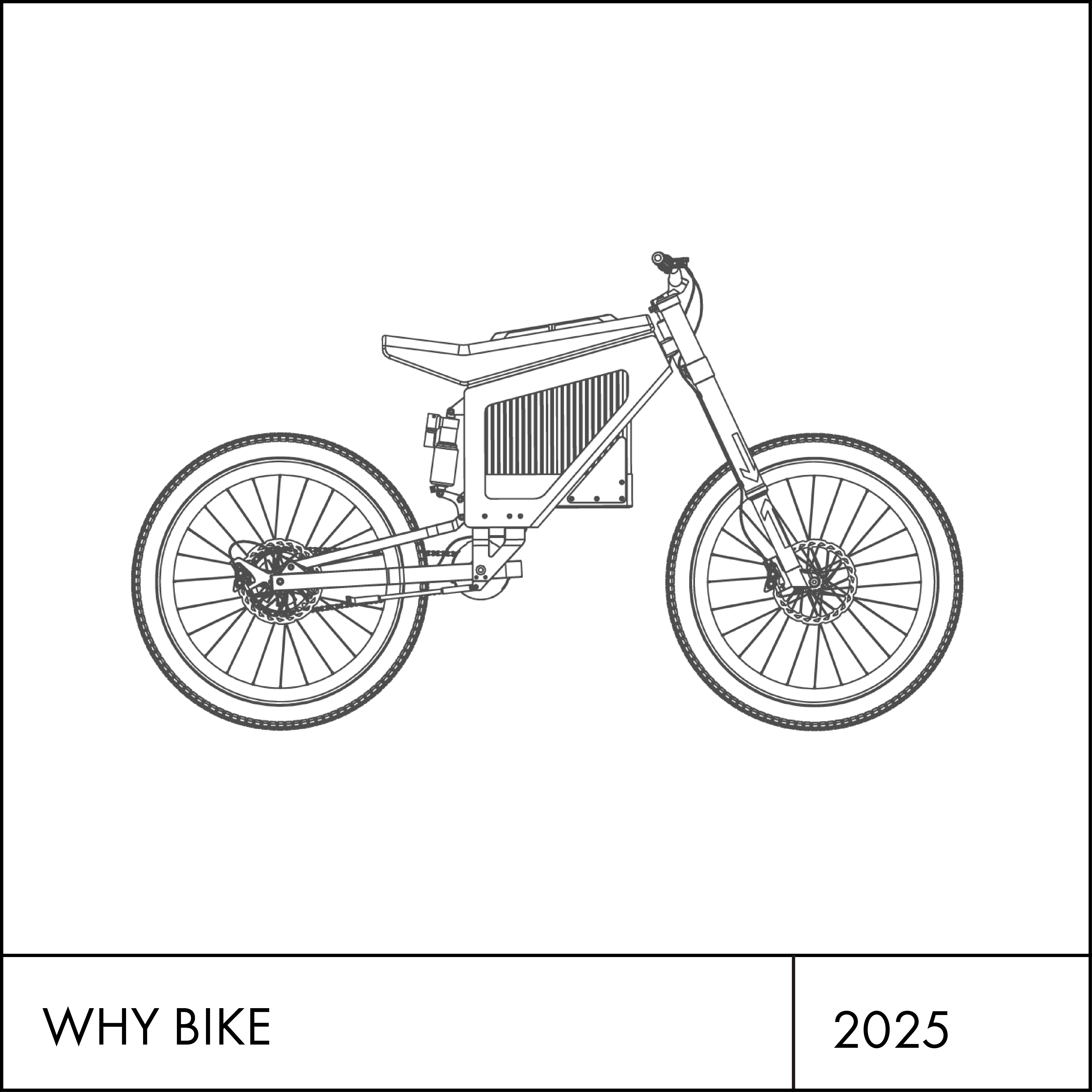 Why Bike